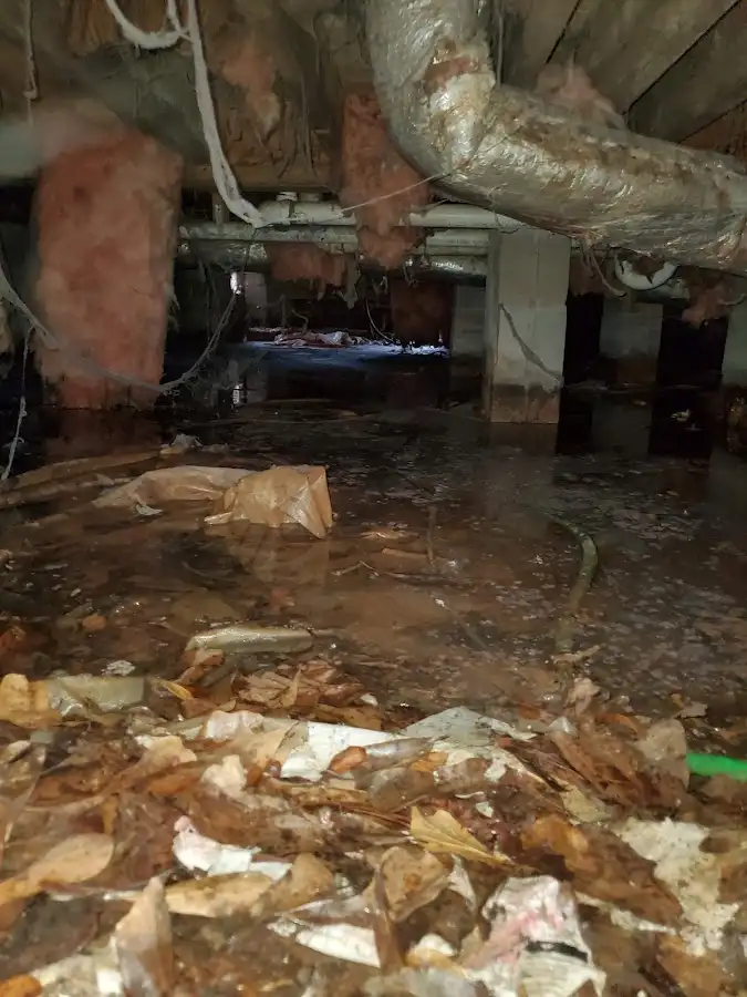 Crawl space flood assessment for Commercial Water Damage Restoration in Spanish Fort